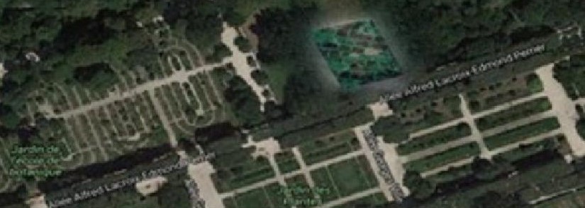 240518_paris_jardin des plantes_site image